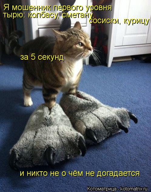 Я мошенник первого уровня тырю: колбасу, сметану, сосиски, курицу за 5 секунд и никто не о чём не до... Котоматрица: Я мошенник первого уровня тырю: колбасу, сметану, сосиски, курицу за 5 секунд и никто не о чём не догадается
