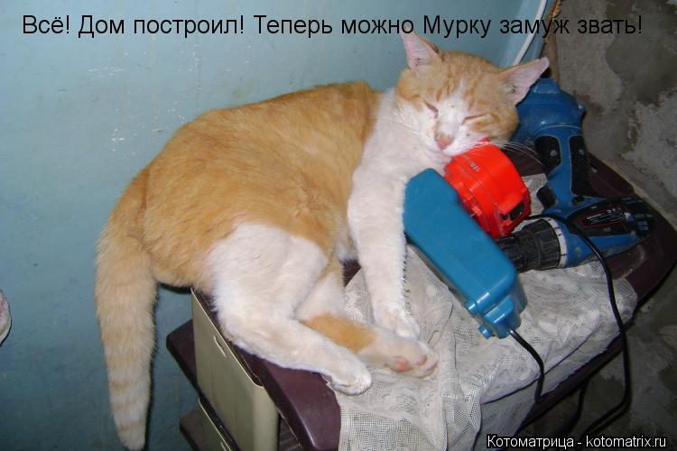 Котоматрица: Всё! Дом построил! Теперь можно Мурку замуж звать!