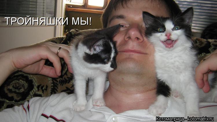 Котоматрица: ТРОЙНЯШКИ МЫ!