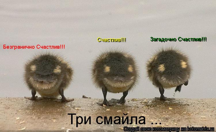 Три смайла ... Безгранично Счастлив!!! Счастлив!!! Загадочно Счастлив!!!... Котоматрица: Три смайла ... Безгранично Счастлив!!! Счастлив!!! Загадочно Счастлив!!!