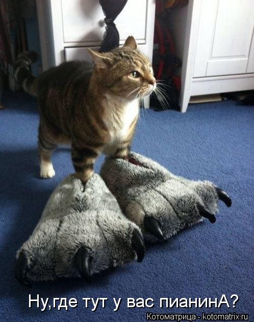 Котоматрица: Ну,где тут у вас пианинА?