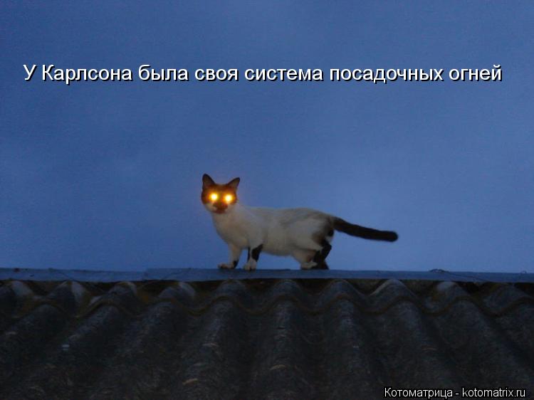 Котоматрица: У Карлсона была своя система посадочных огней