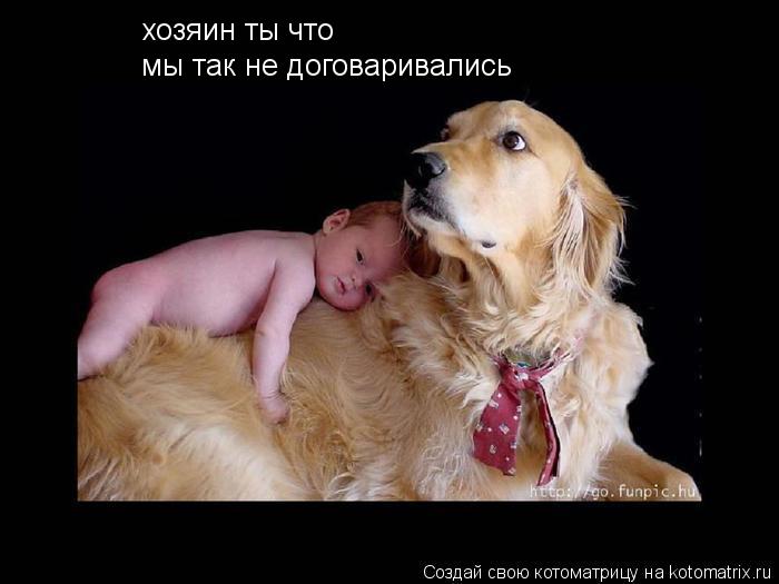 хозяин ты что мы так не договаривались... Котоматрица: хозяин ты что мы так не договаривались