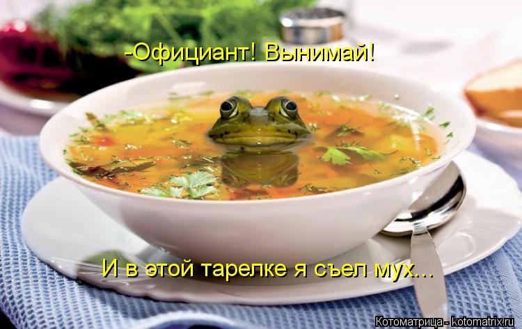 Котоматрица: -Официант! Вынимай! И в этой тарелке я съел мух...