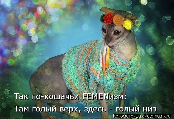 Там голый верх, здесь - голый низ Так по-кошачьи FEMENизм:... Котоматрица: Там голый верх, здесь - голый низ Так по-кошачьи FEMENизм: