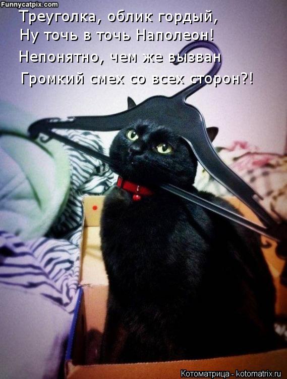 Котоматрица: Треуголка, облик гордый,  Ну точь в точь Наполеон! Непонятно, чем же вызван Громкий смех со всех сторон?!