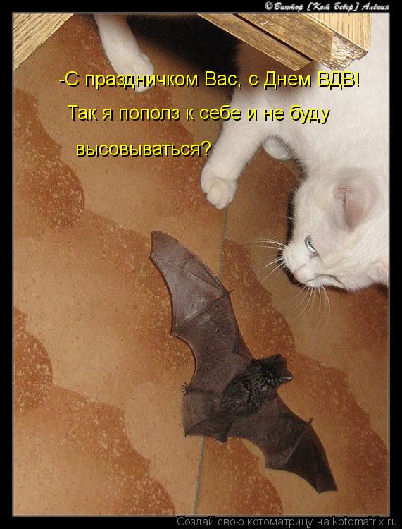 -С праздничком Вас, с Днем ВДВ! Так я пополз к себе и не буду высовываться?... Котоматрица: -С праздничком Вас, с Днем ВДВ! Так я пополз к себе и не буду высовываться?