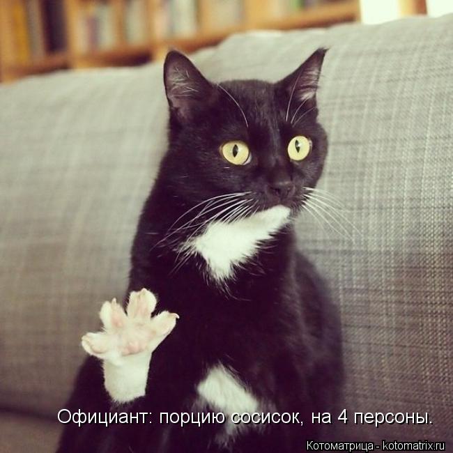 Официант: порцию сосисок, на 4 персоны.... Котоматрица: Официант: порцию сосисок, на 4 персоны.