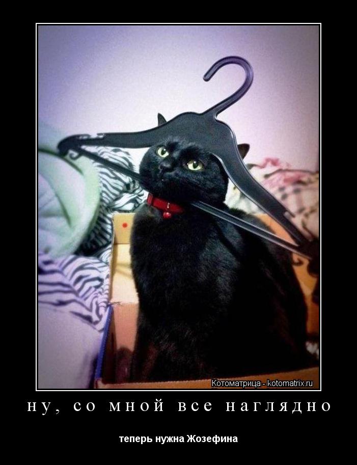ну, со мной все наглядно теперь нужна Жозефина... Котоматрица: ну, со мной все наглядно теперь нужна Жозефина
