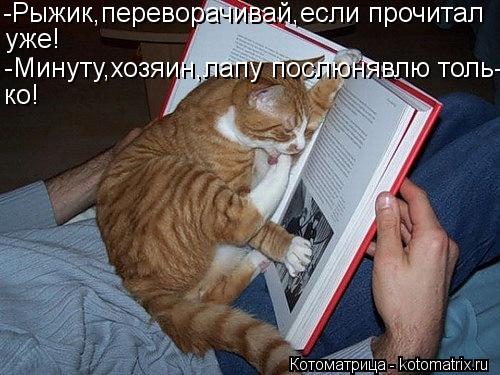 -Рыжик,переворачивай,если прочитал уже! -Минуту,хозяин,лапу послюнявлю толь- ко!... Котоматрица: -Рыжик,переворачивай,если прочитал уже! -Минуту,хозяин,лапу послюнявлю толь- ко!