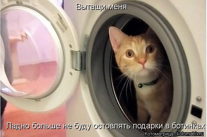 Вытащи меня Ладно больше не буду остовлять подарки в ботинках... Котоматрица: Вытащи меня Ладно больше не буду остовлять подарки в ботинках