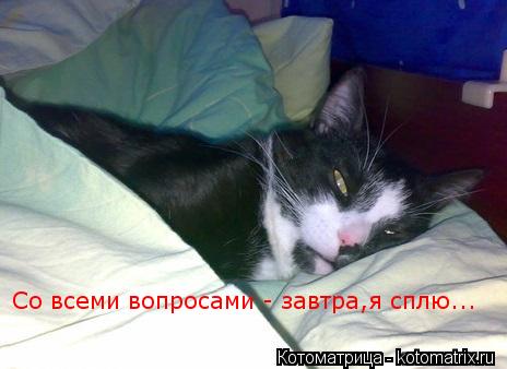 Со всеми вопросами - завтра,я сплю...... Котоматрица: Со всеми вопросами - завтра,я сплю...