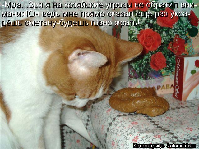 -Мда...Зря я на хозяйские угрозы не обратил вни- мания!Он ведь мне прямо сказал:ещё раз укра- дёшь см... Котоматрица: -Мда...Зря я на хозяйские угрозы не обратил вни- мания!Он ведь мне прямо сказал:ещё раз укра- дёшь сметану-будешь говно жрать!..