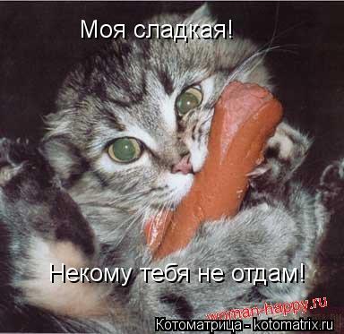 Моя сладкая! Некому тебя не отдам!... Котоматрица: Моя сладкая! Некому тебя не отдам!