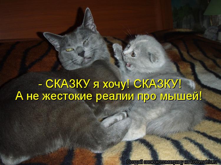 Котоматрица: - СКАЗКУ я хочу! СКАЗКУ! А не жестокие реалии про мышей!