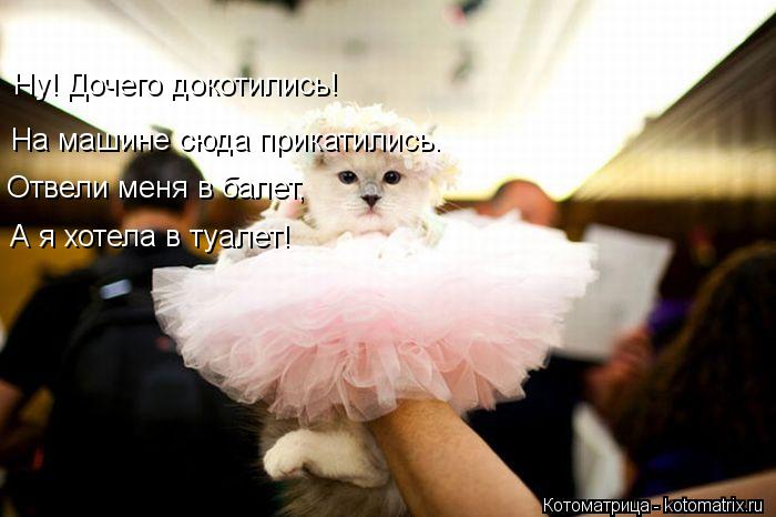 Ну! Дочего докотились! На машине сюда прикатились. Отвели меня в балет, А я хотела в туалет!... Котоматрица: Ну! Дочего докотились! На машине сюда прикатились. Отвели меня в балет, А я хотела в туалет!