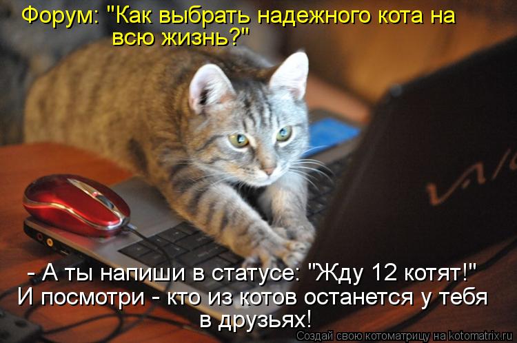 Форум: "Как выбрать надежного кота на всю жизнь?" - А ты напиши в статусе: "Жду 12 котят!" И посмотри... Котоматрица: Форум: "Как выбрать надежного кота на всю жизнь?" - А ты напиши в статусе: "Жду 12 котят!" И посмотри - кто из котов останется у тебя в друзьях!