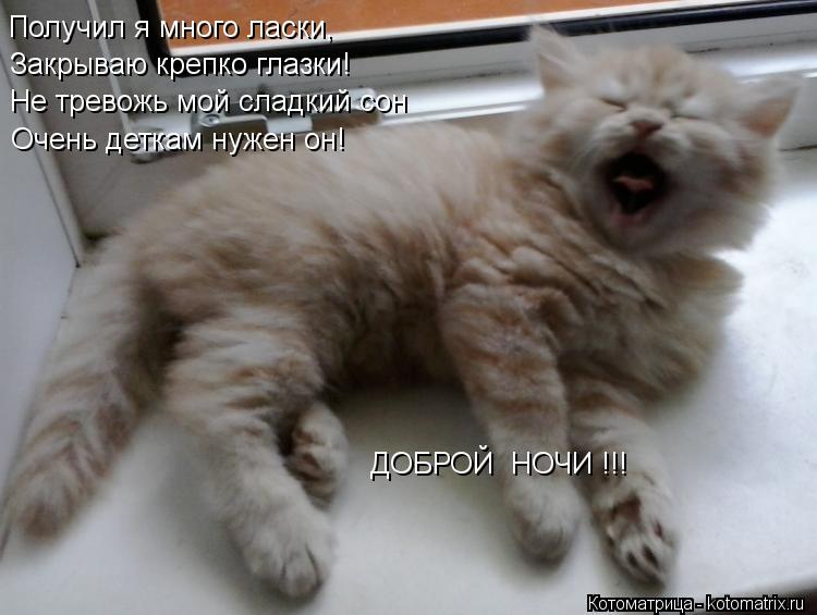 Получил я много ласки, Закрываю крепко глазки! Не тревожь мой сладкий сон Очень деткам нужен он! ДОБР... Котоматрица: Получил я много ласки, Закрываю крепко глазки! Не тревожь мой сладкий сон Очень деткам нужен он! ДОБРОЙ НОЧИ !!!