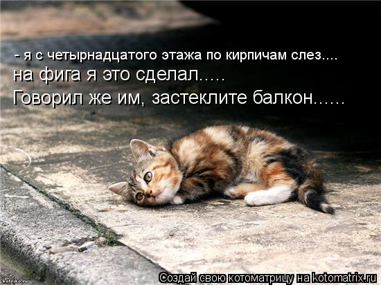 - я с четырнадцатого этажа по кирпичам слез.... на фига я это сделал..... Говорил же им, застеклите б... Котоматрица: - я с четырнадцатого этажа по кирпичам слез.... на фига я это сделал..... Говорил же им, застеклите балкон......