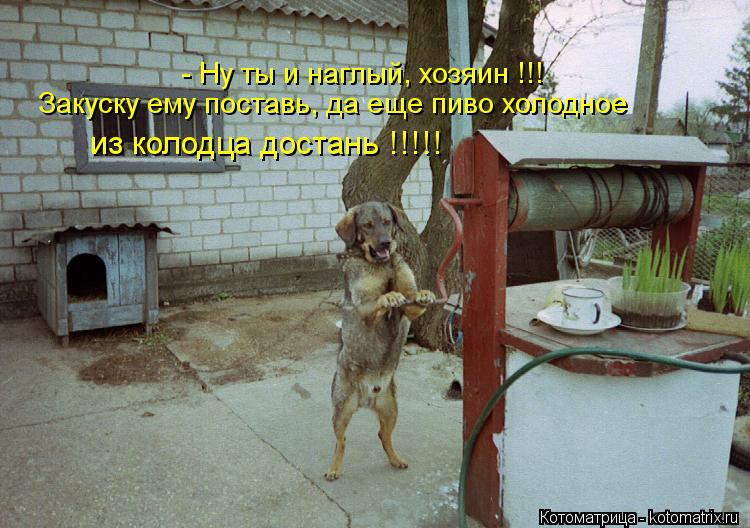 - Ну ты и наглый, хозяин !!! Закуску ему поставь, да еще пиво холодное из колодца достань !!!!!... Котоматрица: - Ну ты и наглый, хозяин !!! Закуску ему поставь, да еще пиво холодное из колодца достань !!!!!