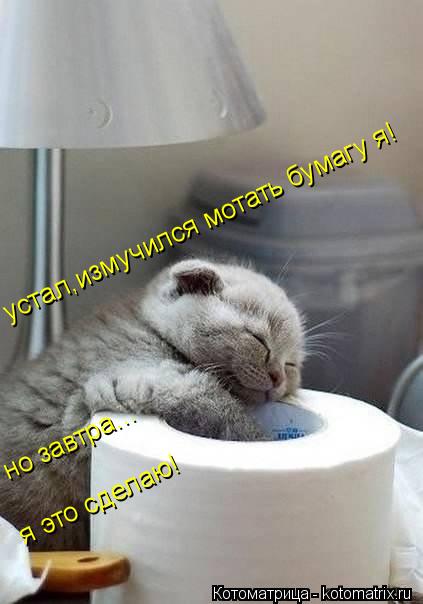 устал,измучился мотать бумагу я! но завтра... я это сделаю!... Котоматрица: устал,измучился мотать бумагу я! но завтра... я это сделаю!