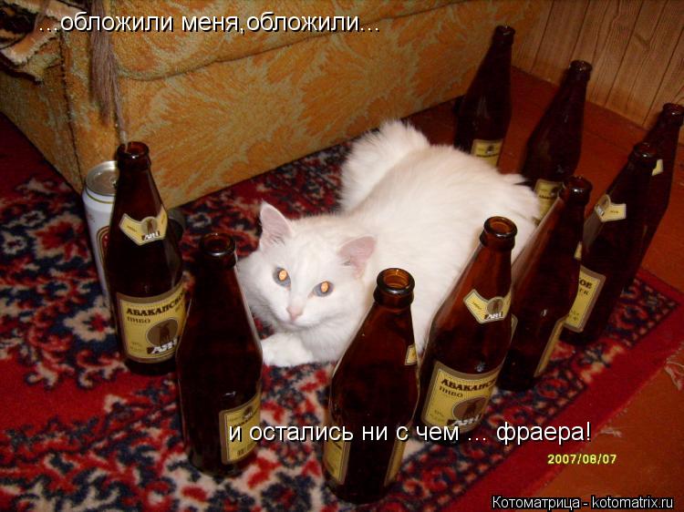 ...обложили меня,обложили... и остались ни с чем ... фраера!... Котоматрица: ...обложили меня,обложили... и остались ни с чем ... фраера!