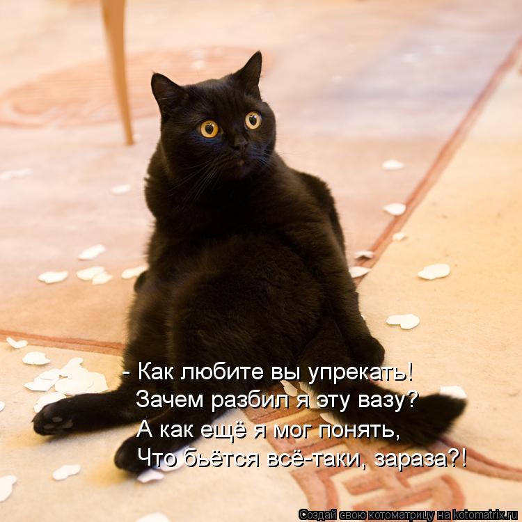 Котоматрица: - Как любите вы упрекать! Зачем разбил я эту вазу? А как ещё я мог понять, Что бьётся всё-таки, зараза?!