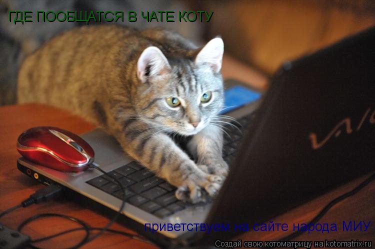 приветствуем на сайте народа МИУ ГДЕ ПООБЩАТСЯ В ЧАТЕ КОТУ... Котоматрица: приветствуем на сайте народа МИУ ГДЕ ПООБЩАТСЯ В ЧАТЕ КОТУ
