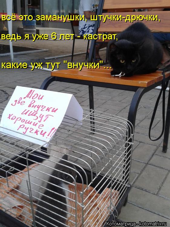 всё это заманушки, штучки-дрючки, ведь я уже 6 лет - кастрат, какие уж тут "внучки"...... Котоматрица: всё это заманушки, штучки-дрючки, ведь я уже 6 лет - кастрат, какие уж тут "внучки"...
