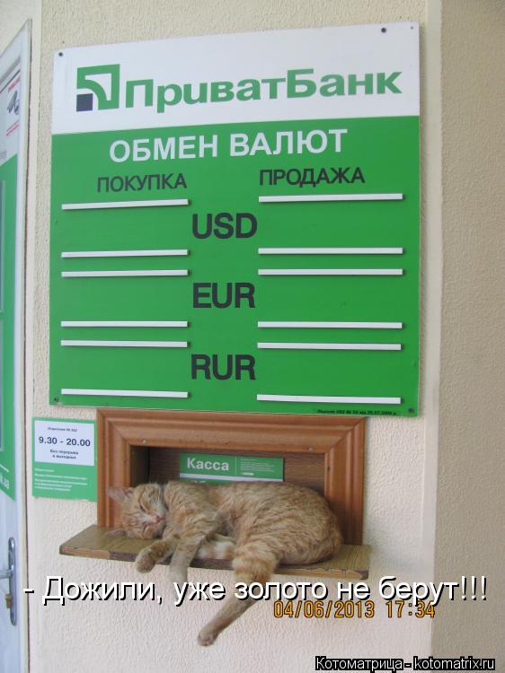 - Дожили, уже золото не берут!!!... Котоматрица: - Дожили, уже золото не берут!!!