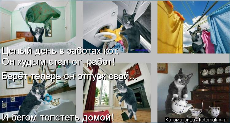 Целый день в заботах кот. Он худым стал от работ! Берёт теперь он отпуск свой... И бегом толстеть до... Котоматрица: Целый день в заботах кот. Он худым стал от работ! Берёт теперь он отпуск свой... И бегом толстеть домой!