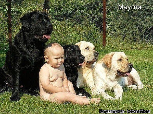 Маугли... Котоматрица: Маугли