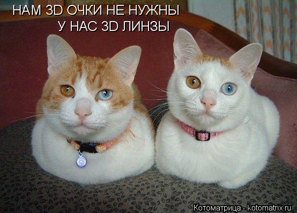 НАМ 3D ОЧКИ НЕ НУЖНЫ У НАС 3D ЛИНЗЫ У НАС 3D ЛИНЗЫ... Котоматрица: НАМ 3D ОЧКИ НЕ НУЖНЫ У НАС 3D ЛИНЗЫ У НАС 3D ЛИНЗЫ