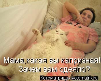 Котоматрица: Мама,какая вы капризная! Зачем вам одеяло?