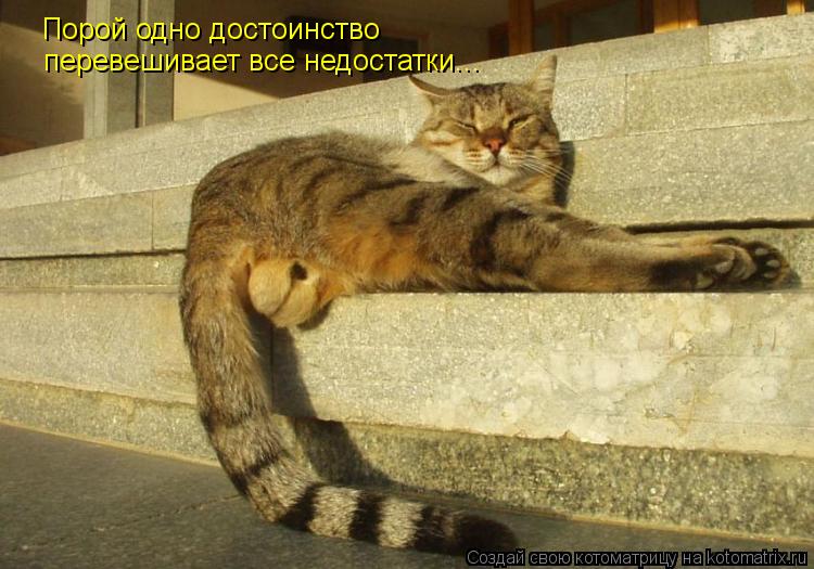 Порой одно достоинство перевешивает все недостатки...... Котоматрица: Порой одно достоинство перевешивает все недостатки...