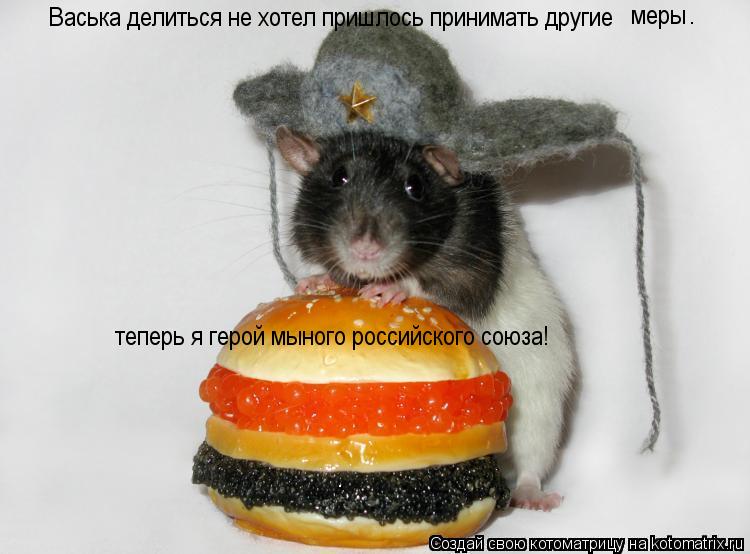 Васька делиться не хотел пришлось принимать другие меры . теперь я герой мыного российского союза!... Котоматрица: Васька делиться не хотел пришлось принимать другие меры . теперь я герой мыного российского союза!