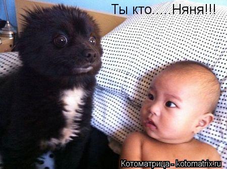 Ты кто.....Няня!!!... Котоматрица: Ты кто.....Няня!!!