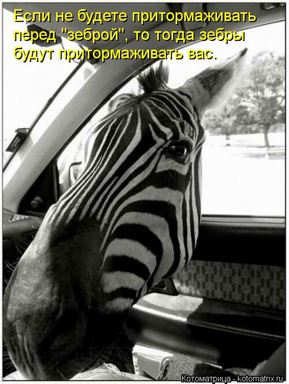 Если не будете притормаживать перед "зеброй", то тогда зебры будут притормаживать вас.... Котоматрица: Если не будете притормаживать перед "зеброй", то тогда зебры будут притормаживать вас.