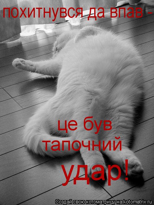 похитнувся да впав - це був тапочний удар!... Котоматрица: похитнувся да впав - це був тапочний удар!