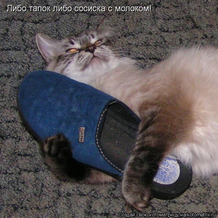 Либо тапок либо сосиска с молоком!... Котоматрица: Либо тапок либо сосиска с молоком!