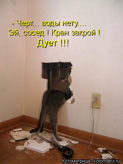 - Черт... воды нету.... Эй, сосед ! Кран закрой ! Дует !!!... Котоматрица: - Черт... воды нету.... Эй, сосед ! Кран закрой ! Дует !!!