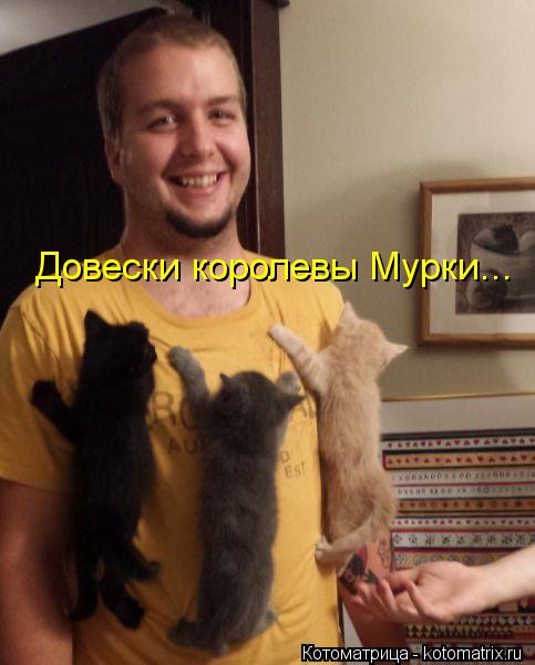Довески королевы Мурки...... Котоматрица: Довески королевы Мурки...