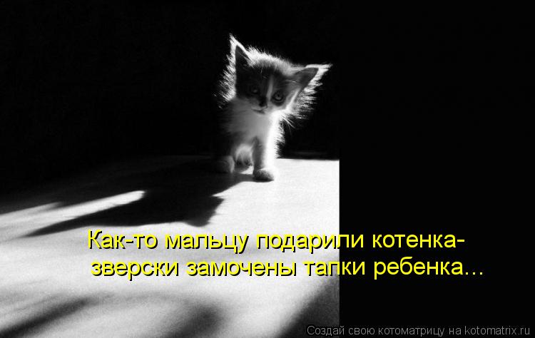 Как-то мальцу подарили котенка- зверски замочены тапки ребенка...... Котоматрица: Как-то мальцу подарили котенка- зверски замочены тапки ребенка...