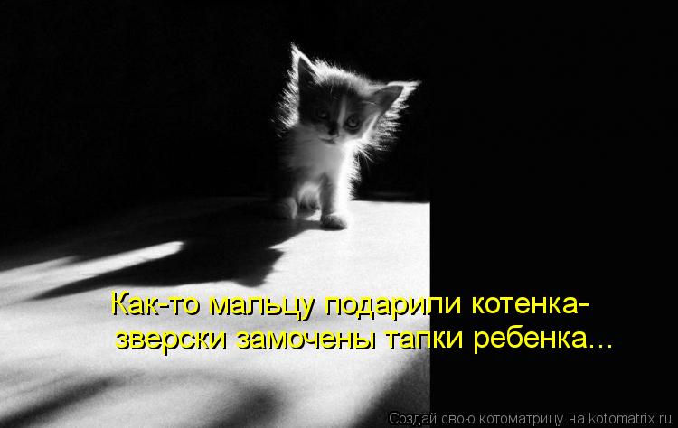 Котоматрица: Как-то мальцу подарили котенка- зверски замочены тапки ребенка...