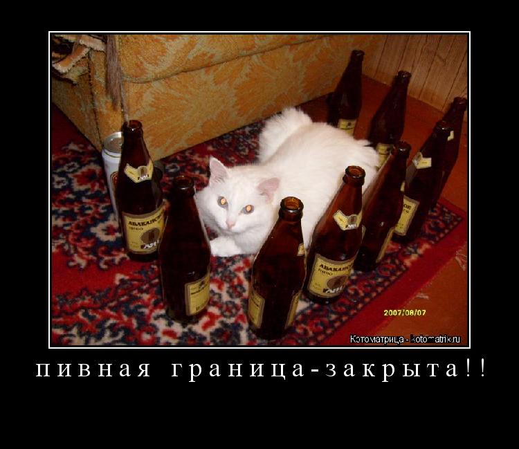 пивная граница-закрыта!! ... Котоматрица: пивная граница-закрыта!!