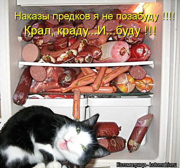 Котоматрица: Наказы предков я не позабуду !!!! Крал, краду...И...буду !!!