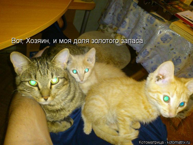 Вот, Хозяин, и моя доля золотого запаса... Котоматрица: Вот, Хозяин, и моя доля золотого запаса