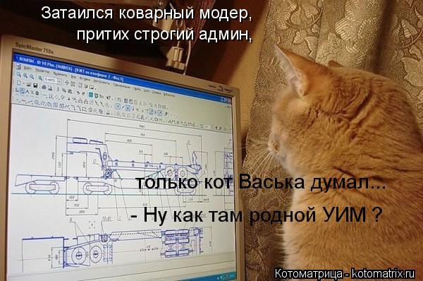 Затаился коварный модер, притих строгий админ, только кот Васька думал... - Ну как там родной УИМ ?... Котоматрица: Затаился коварный модер, притих строгий админ, только кот Васька думал... - Ну как там родной УИМ ?