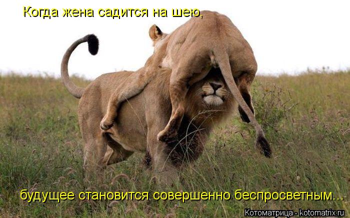 Когда жена садится на шею, будущее становится совершенно беспросветным...... Котоматрица: Когда жена садится на шею, будущее становится совершенно беспросветным...