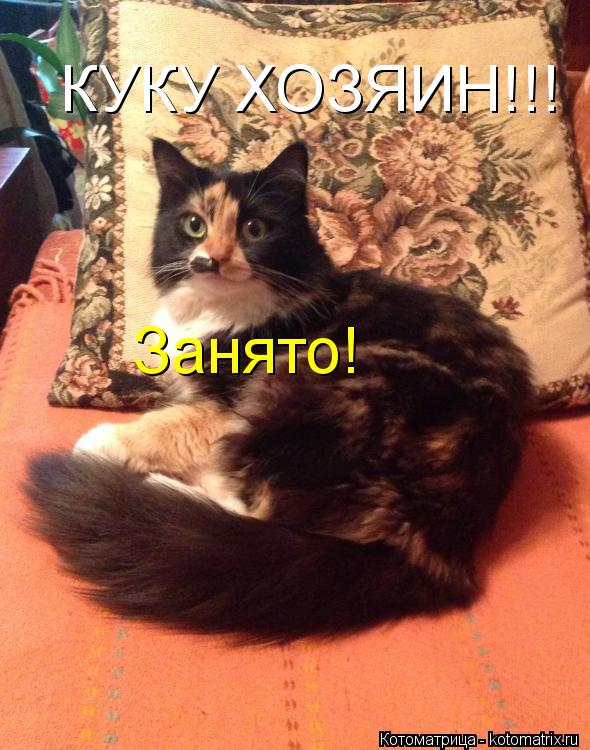 Котоматрица: КУКУ ХОЗЯИН!!!  Занято!